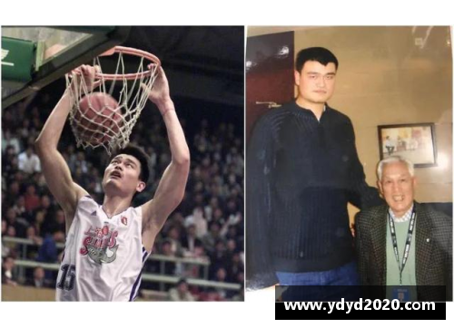 姚滨：中国篮球传奇的崛起